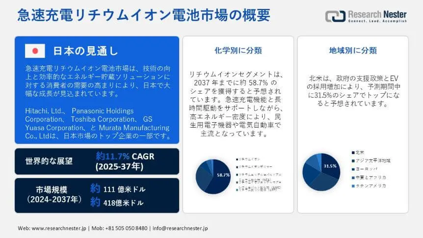 fast charge lithium ion battery market overview